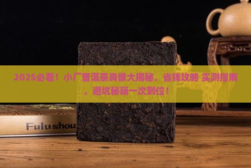 介绍一下小厂普洱茶