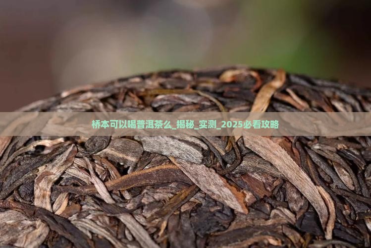 桥本可以喝普洱茶么