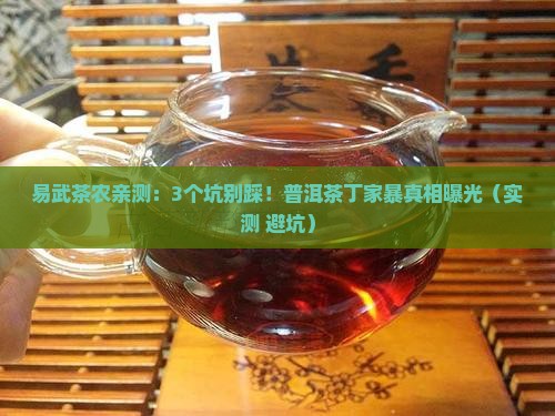 普洱茶易武丁家暴