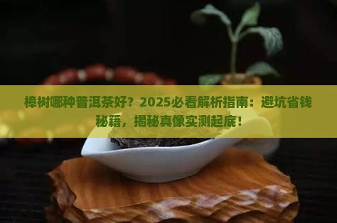 樟树哪种普洱茶好
