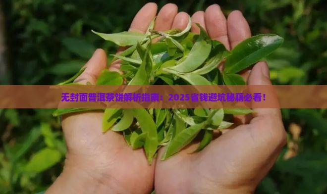 无封面普洱茶饼