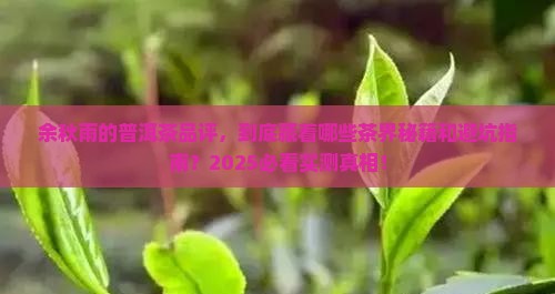 余秋雨对普洱茶的品评