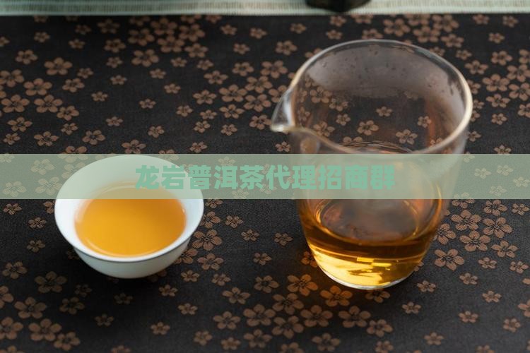 龙岩普洱茶代理招商群