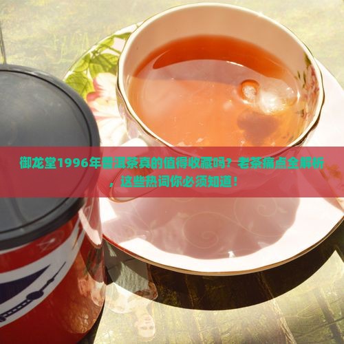 御龙堂1996年普洱茶