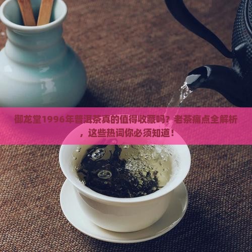 御龙堂1996年普洱茶