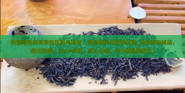 熟普洱茶和黑茶的区别与功效
