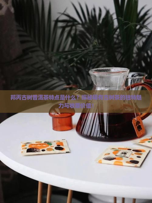 邦丙古树普洱茶特点是什么