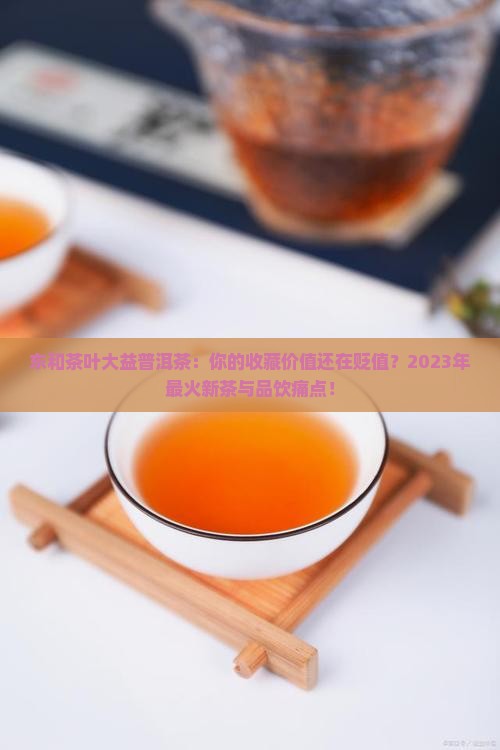 东和茶叶官网大益普洱茶