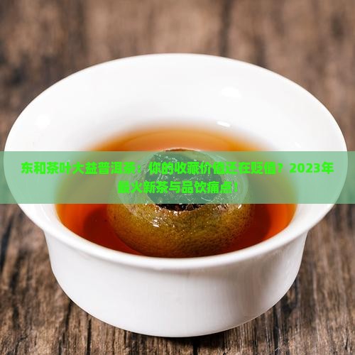 东和茶叶官网大益普洱茶