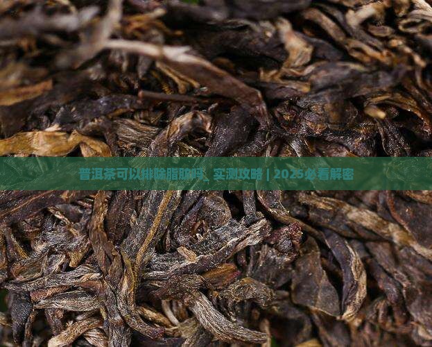 普洱茶可以排除脂肪吗