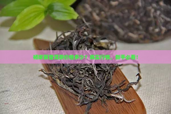 杨家寨普洱茶价格多少