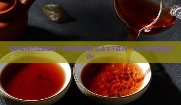吉林老树普洱茶批发