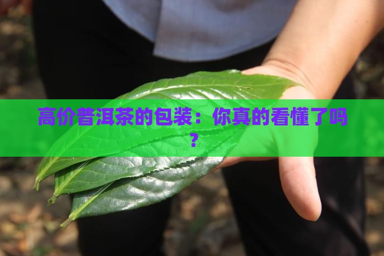 高价普洱茶的包装