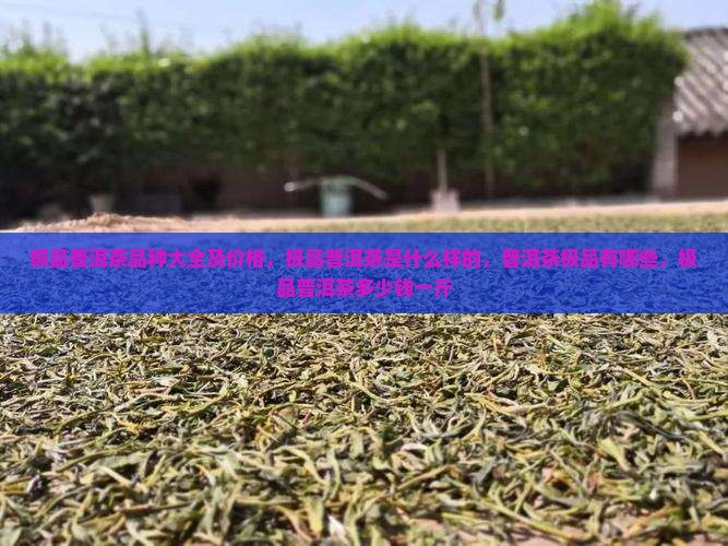 极品普洱茶品种大全