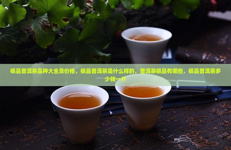 极品普洱茶品种大全