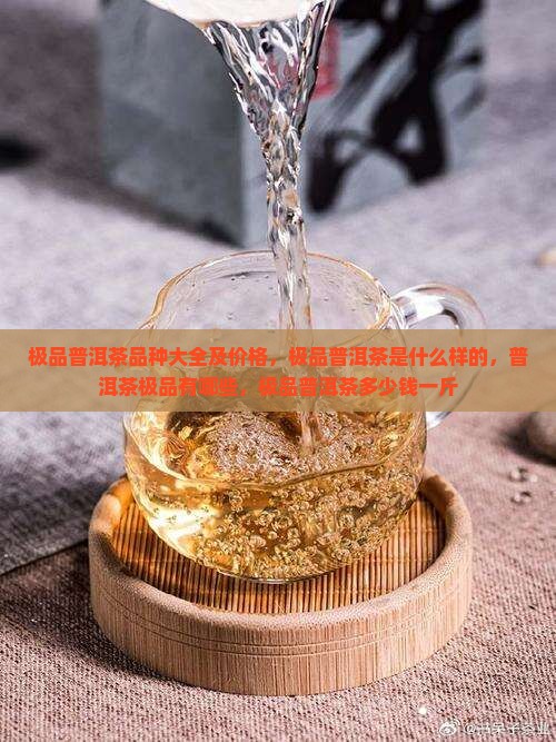 极品普洱茶品种大全
