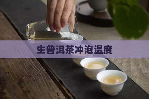 生普洱茶冲泡温度