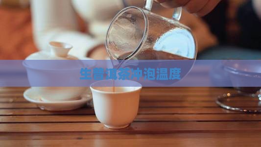 生普洱茶冲泡温度