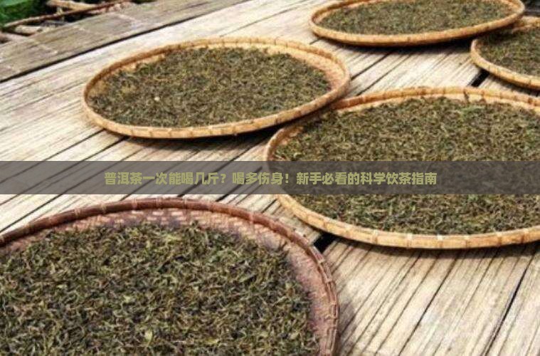 普洱茶一次能喝几斤