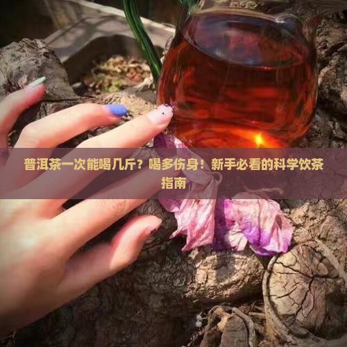 普洱茶一次能喝几斤
