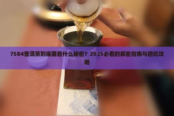 7584普洱茶代表什么