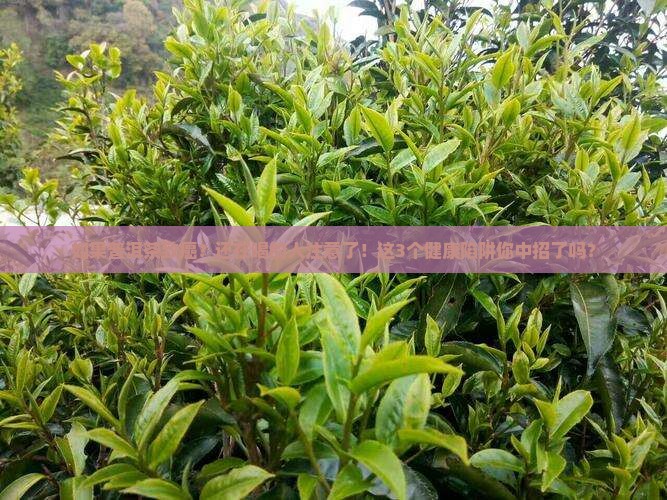 如果普洱茶致癌