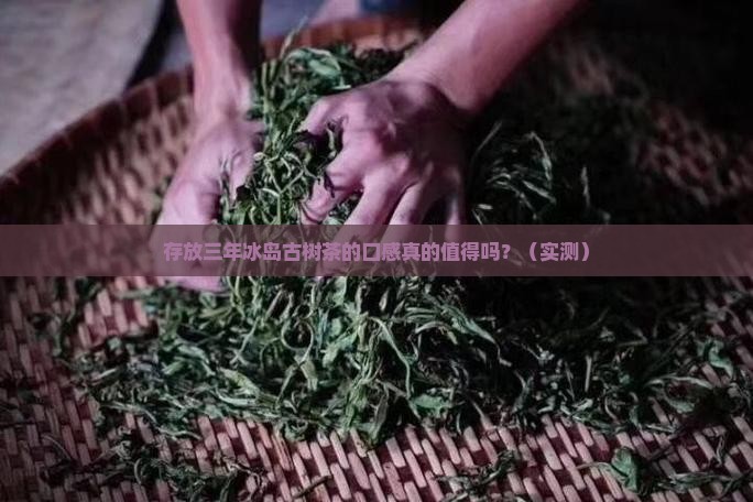 存放三年冰岛古树茶的口感