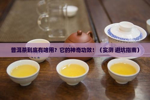 普普普洱茶的功效与作用