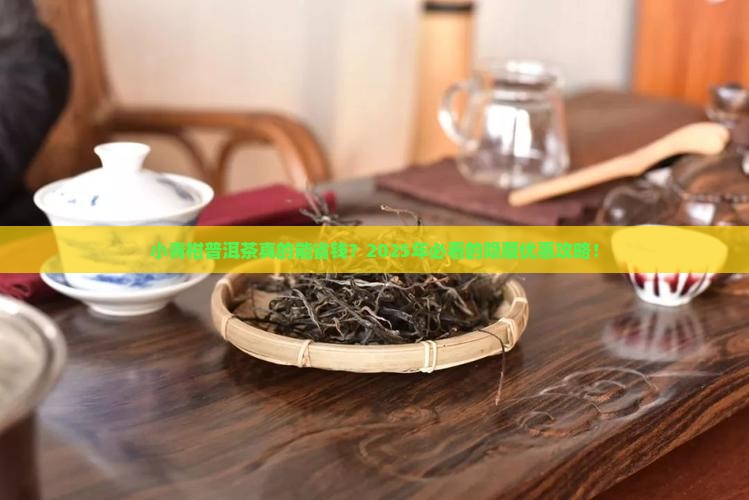 小青柑普洱茶优惠