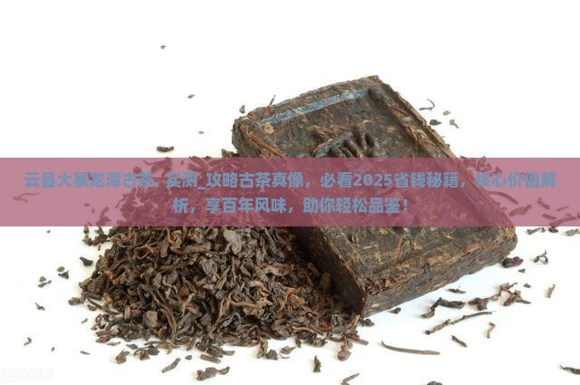 云县大寨龙潭古茶