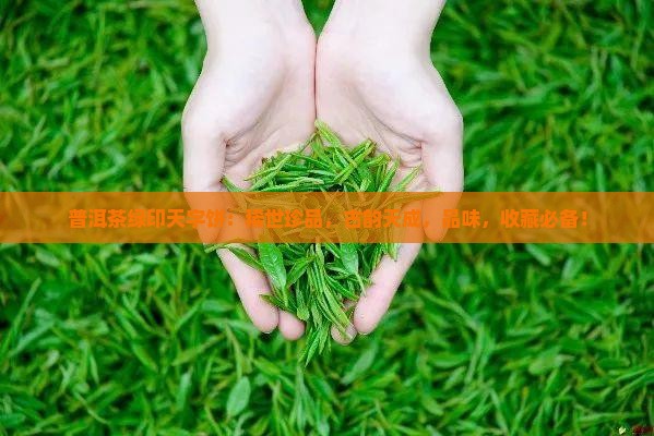 普洱茶绿印天字饼
