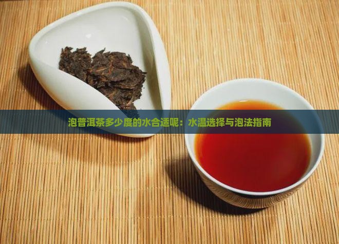 泡普洱茶多少度的水合适呢