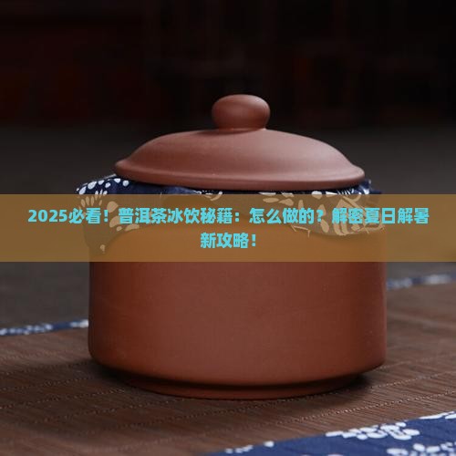普洱怎么做的普洱茶怎么做冰饮