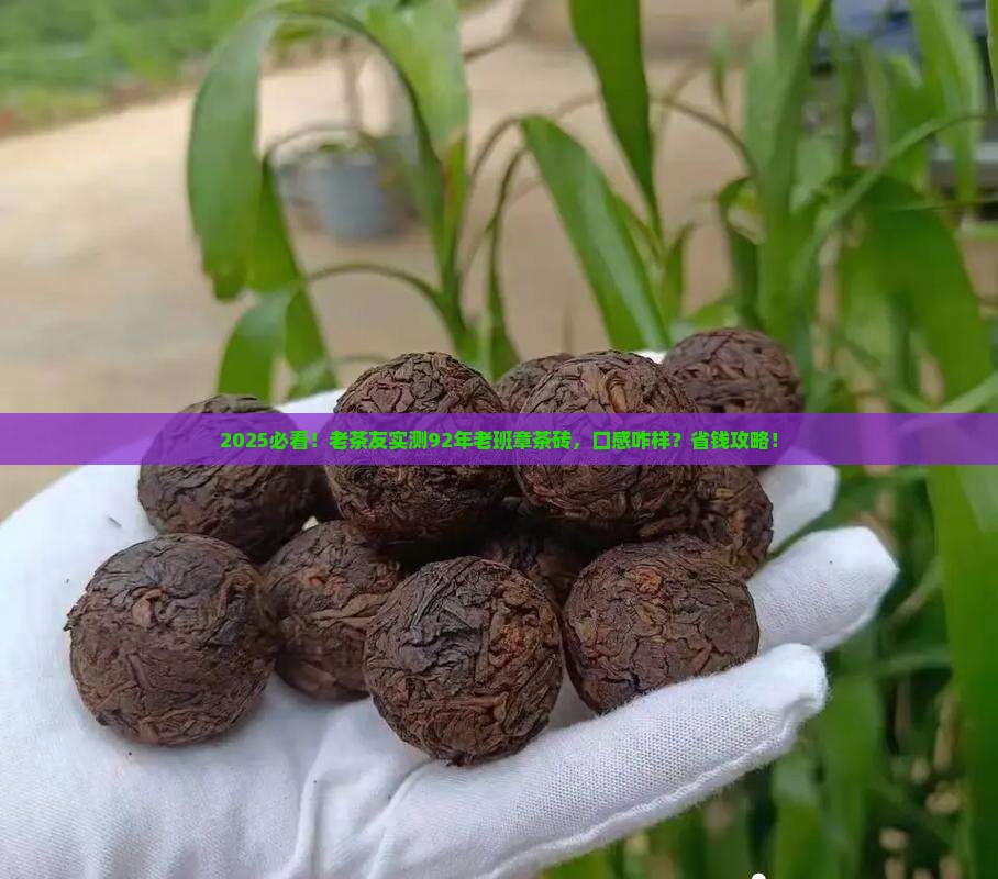 勐海92年老班章茶砖