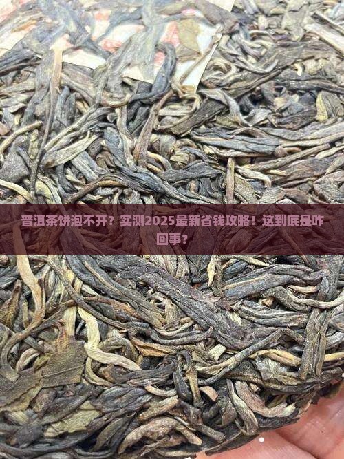 普洱茶饼为啥有时候泡不开