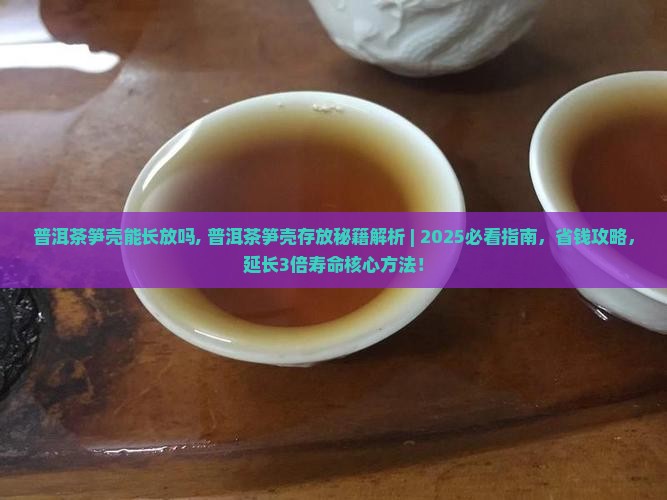 普洱茶笋壳能长放吗