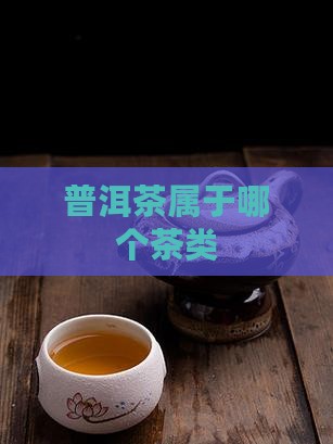 普洱茶属于哪个茶类