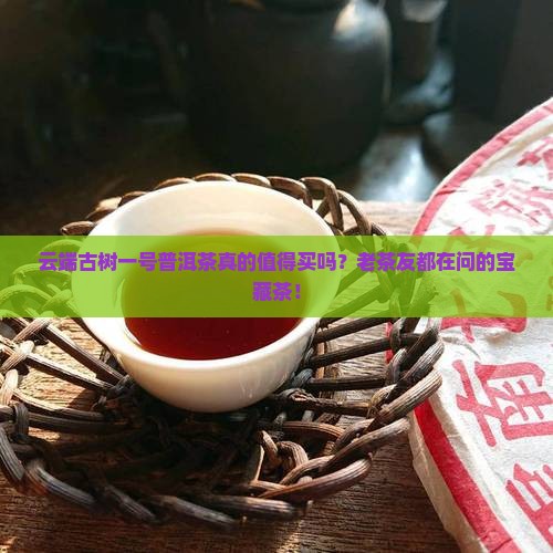 云端古树一号普洱茶