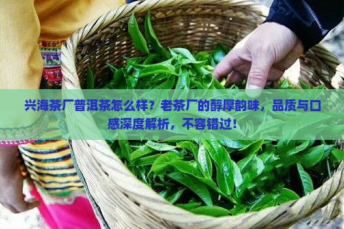 兴海茶厂普洱茶怎么样