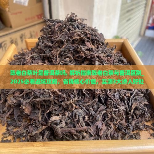 陈老白茶叶是普洱茶吗