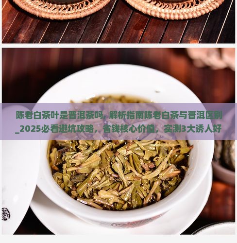 陈老白茶叶是普洱茶吗