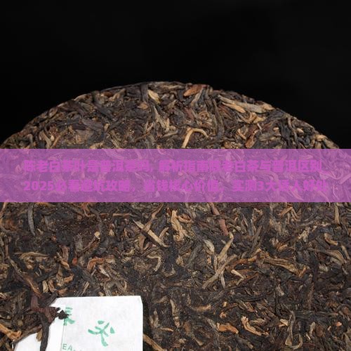 陈老白茶叶是普洱茶吗
