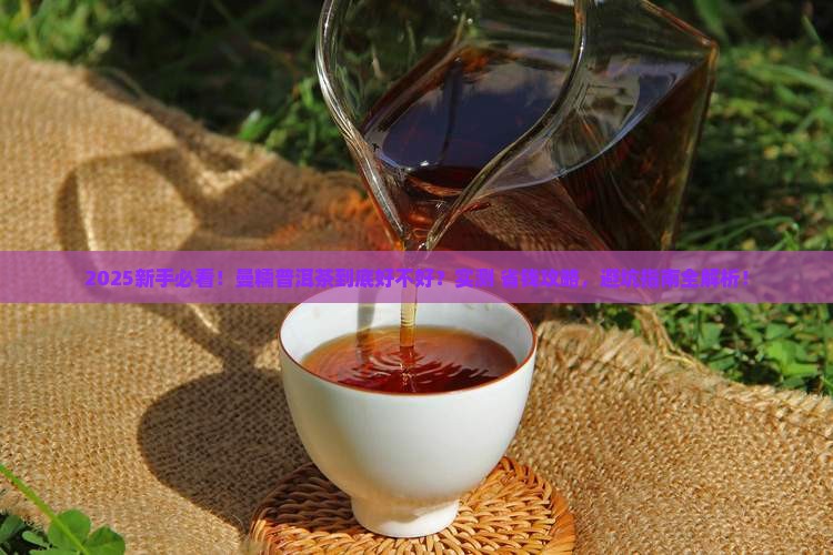 曼糯普洱茶好吗