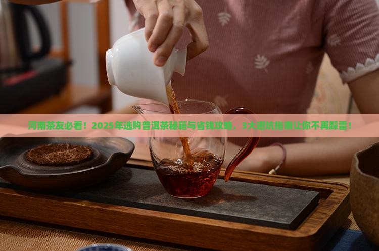 河南如何选购普洱茶品牌