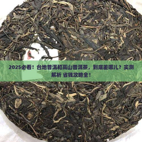 台地普洱和高山普洱茶区别