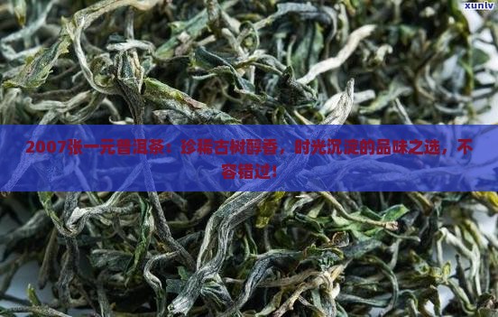 2007张一元普洱茶