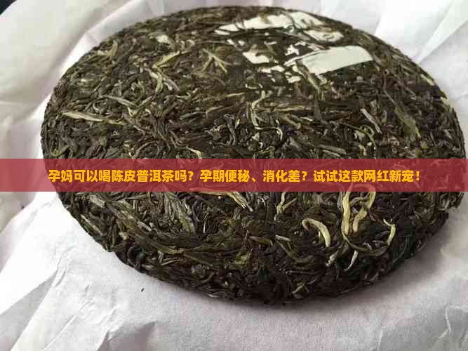 孕妈可以喝陈皮普洱茶吗