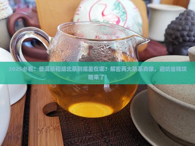 普洱茶与湖北茶的区别在哪里
