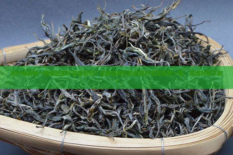 茶叶像树枝一根根的茶叶品质如何