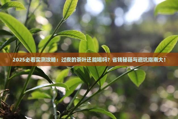 过夜的茶叶还能喝吗